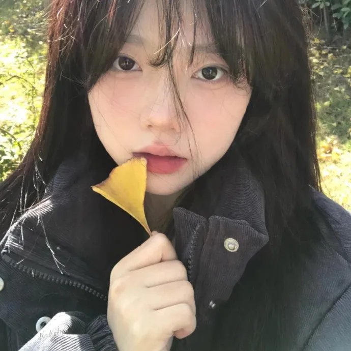 今日子和修一的故事